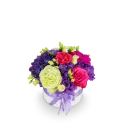 Box fialových květin